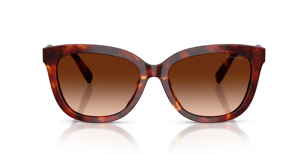 Coach HC8453U CDP53 Square Sunglasses - Purple Cosmo Tortoise