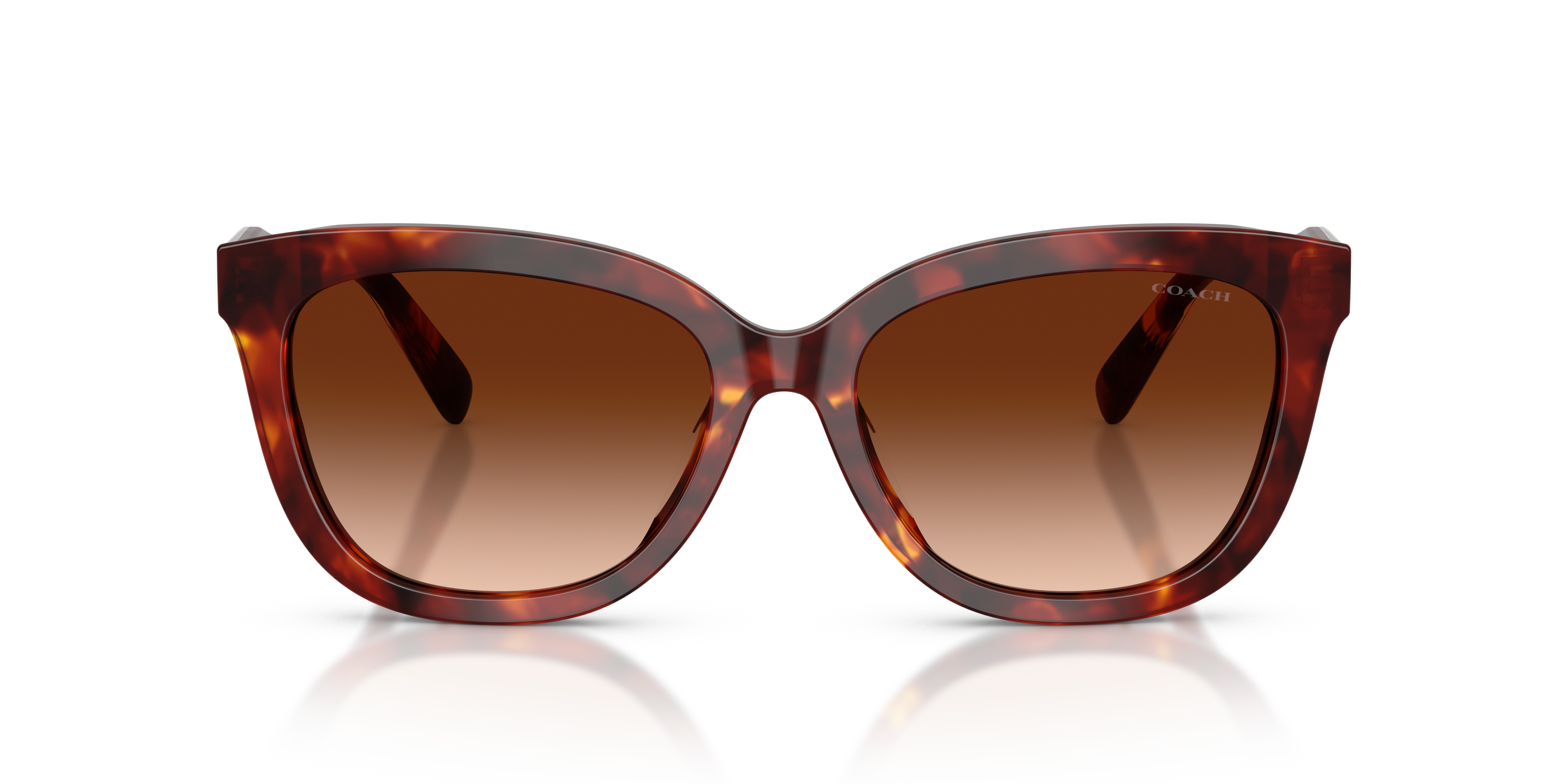 Coach HC8453U CDP53 Square Sunglasses - Purple Cosmo Tortoise